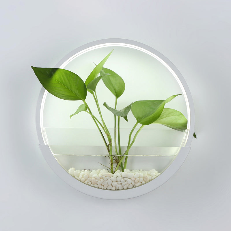 Éclairage de paroi circulaire en acrylique Ponde de mur à LED artistique avec fonction de récipient végétal