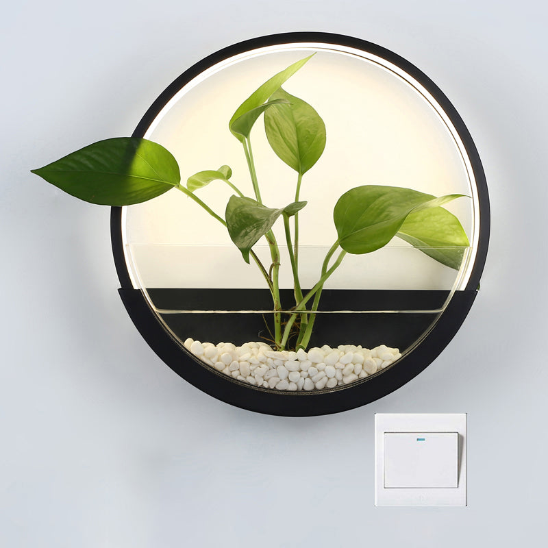 Éclairage de paroi circulaire en acrylique Ponde de mur à LED artistique avec fonction de récipient végétal