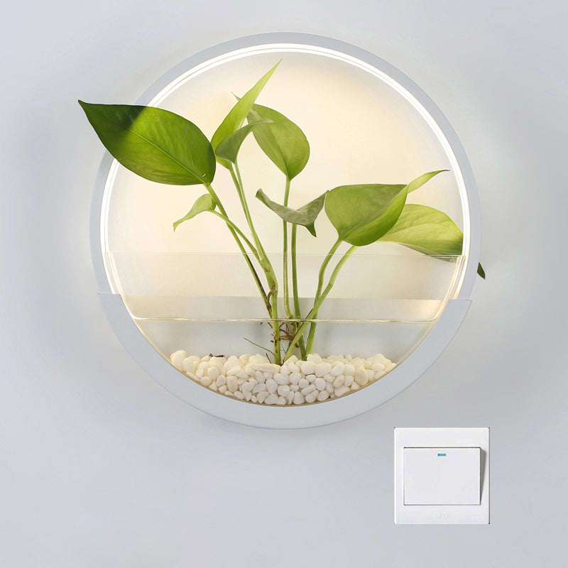 Éclairage de paroi circulaire en acrylique Ponde de mur à LED artistique avec fonction de récipient végétal