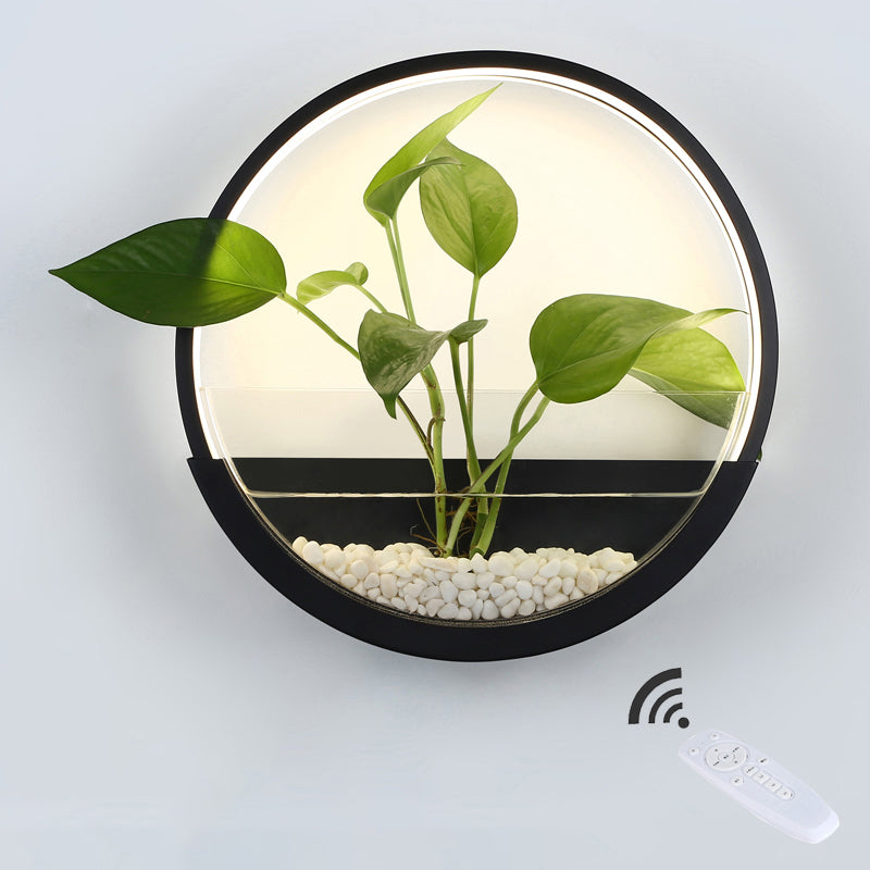 Éclairage de paroi circulaire en acrylique Ponde de mur à LED artistique avec fonction de récipient végétal