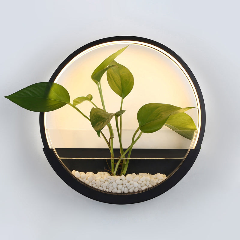 Acrylic Circular Wall Lighting Artistic LED Wall Sconce with Plant Container Function