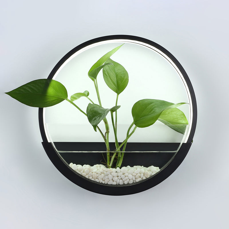Éclairage de paroi circulaire en acrylique Ponde de mur à LED artistique avec fonction de récipient végétal