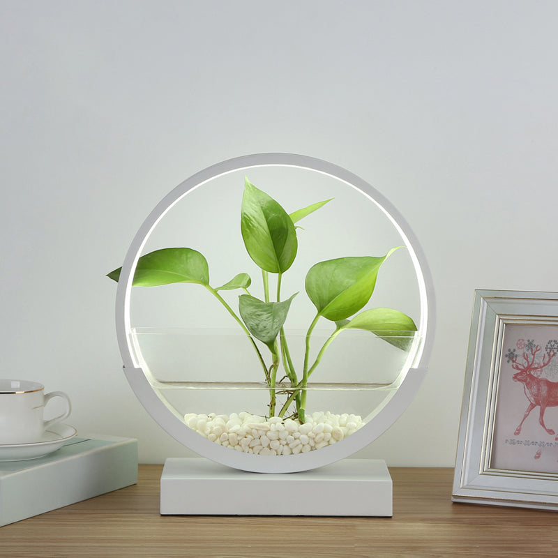 Lampada da tavolo da tavolo del cerchio nordico Acrilico Luce notturna a LED con pianta idroponica design