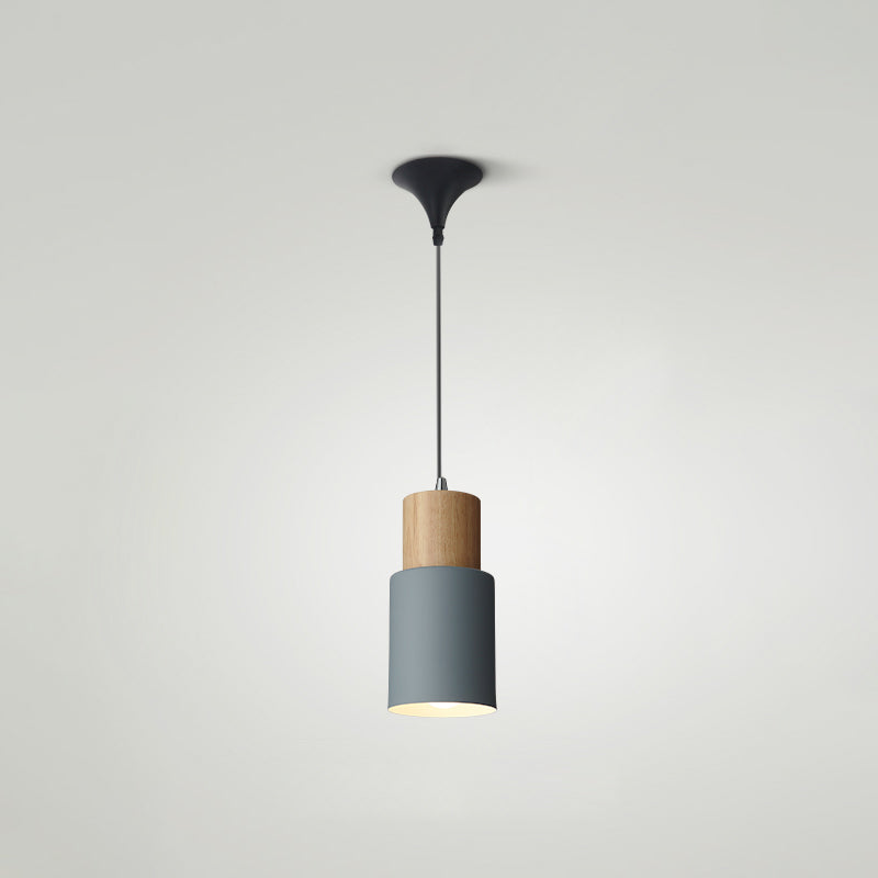 Indoor Nordic Pendant Light Modern Simple Creative Single Pendant Light for Restaurant Coffee Shop