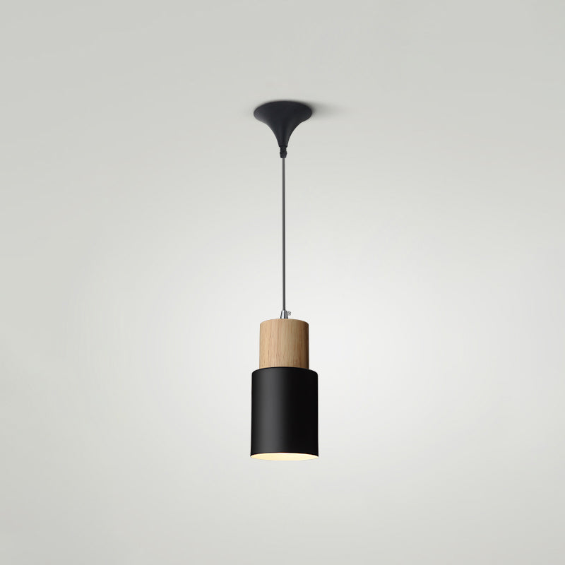 Indoor Nordic Pendant Light Modern Simple Creative Single Pendant Light for Restaurant Coffee Shop