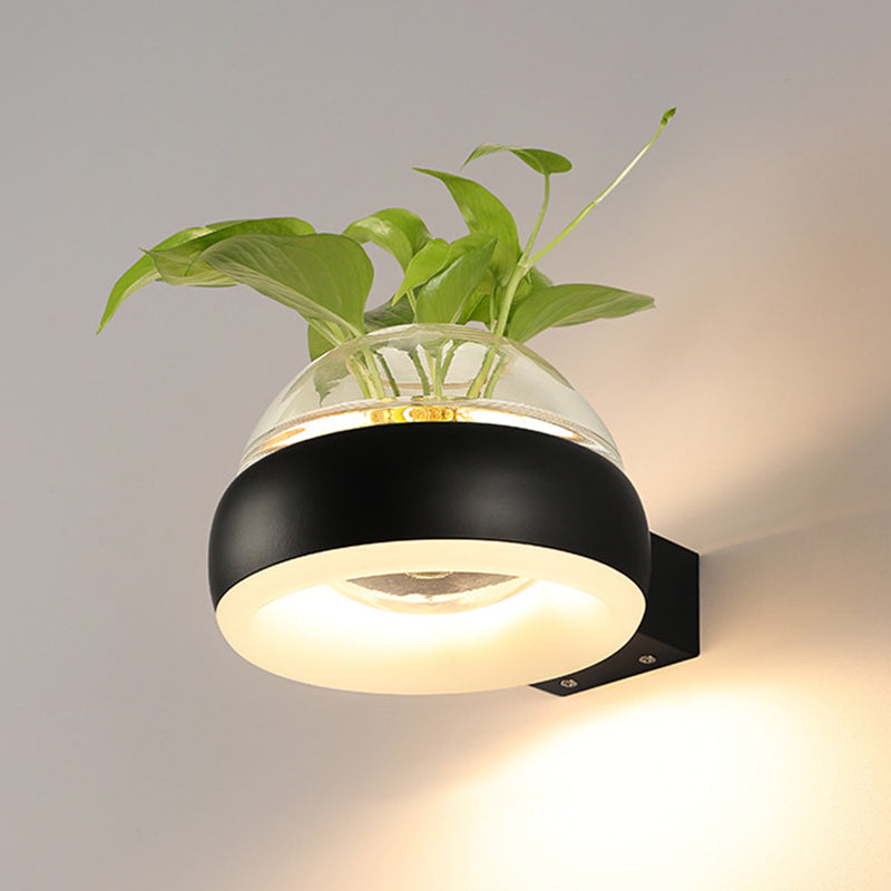 Modern Creative Plant Wall Sconce Light Glass Pot with Acrylic LED Wall Mount Lamp