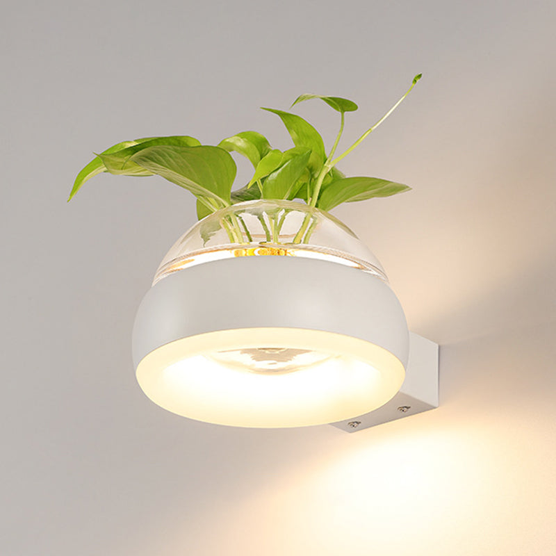 Modern Creative Plant Wall Sconce Light Glass Pot with Acrylic LED Wall Mount Lamp