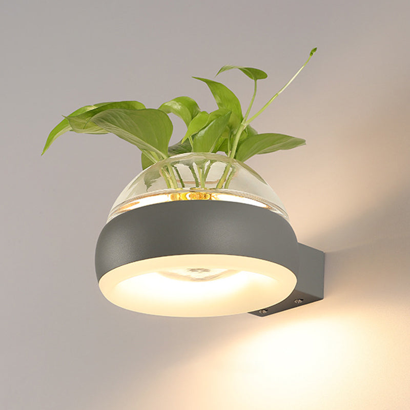 Modern Creative Plant Wall Sconce Light Glass Pot with Acrylic LED Wall Mount Lamp