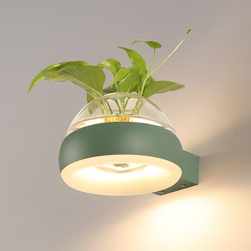 Modern Creative Plant Wall Sconce Light Glass Pot with Acrylic LED Wall Mount Lamp