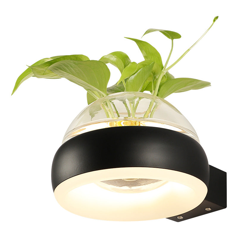 Modern Creative Plant Wall Sconce Light Glass Pot with Acrylic LED Wall Mount Lamp