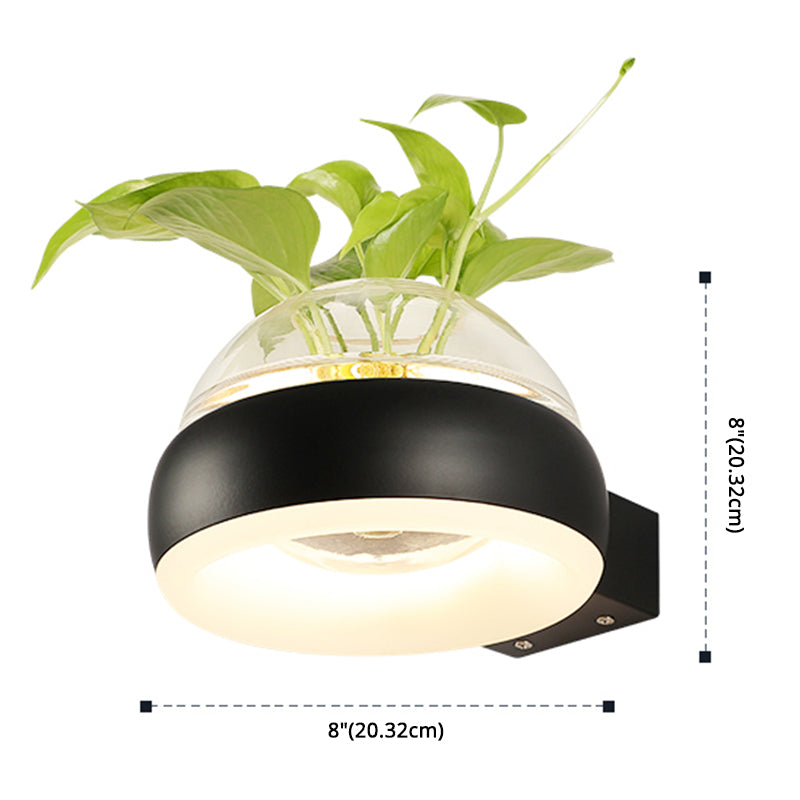 Modern Creative Plant Wall Sconce Light Glass Pot with Acrylic LED Wall Mount Lamp