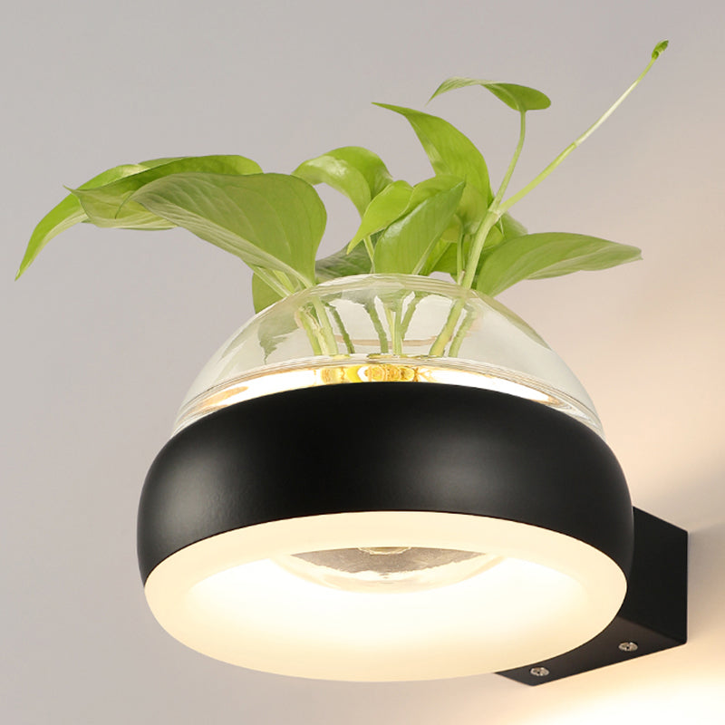 Modern Creative Plant Wall Sconce Light Glass Pot with Acrylic LED Wall Mount Lamp