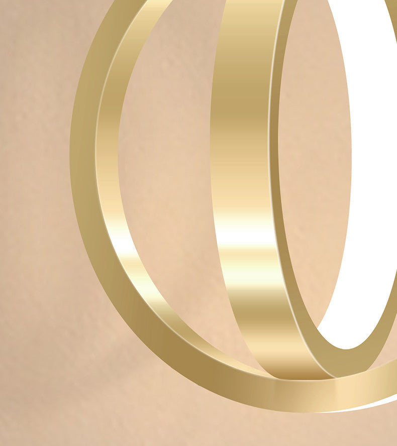Double Round Shape LED Pendant Lamp Modern Minimalist Metal Hanging Lamp for Living Room