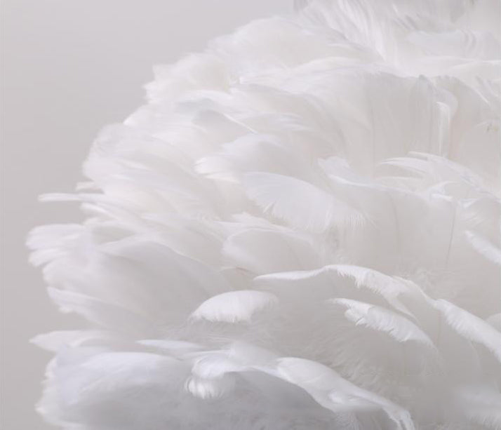 Art Deco Feather Pendant Lighting Modern Nordic Creative Globe Hanging Ceiling Light for Bedroom