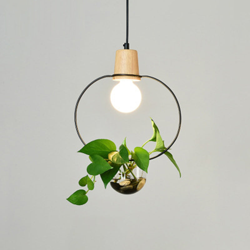 Lampada a sospensione con soffitto ad anello in metallo geometrico moderno 1 lampada da interno appesa alla luce senza botanica