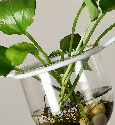 Lampada a sospensione con soffitto ad anello in metallo geometrico moderno 1 lampada da interno appesa alla luce senza botanica