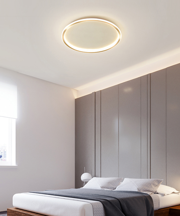 Circular Flush Mount Light Fixtures Modern Aluminum Flushmount