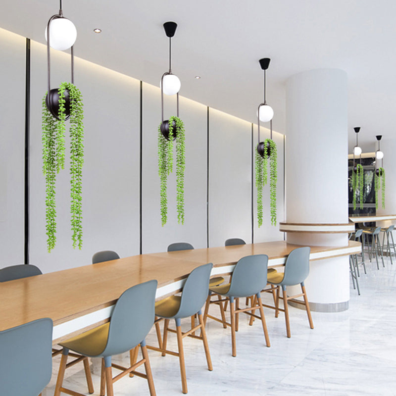 Modern Oval Metal Hanging Lamp White Glass Globe Shade 1 Light Pendant Light with Green Plant