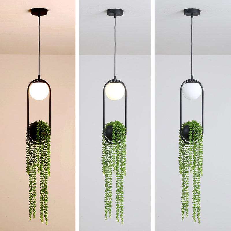 Modern Oval Metal Hanging Lamp White Glass Globe Shade 1 Light Pendant Light with Green Plant