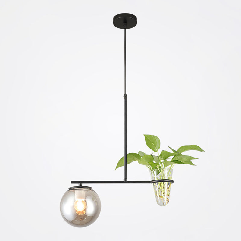 1 Light Hydroponics Botany Pendant Light moderne moderne Minimaliste en verre sphérique Salle de restauration