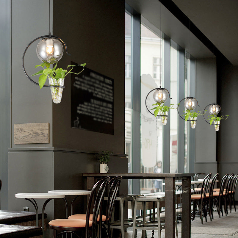 1 Light Hydroponics Botany Pendant Light moderne moderne Minimaliste en verre sphérique Salle de restauration