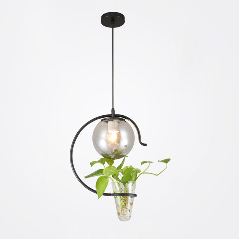 1 Light Hydroponics Botany Pendant Light moderne moderne Minimaliste en verre sphérique Salle de restauration