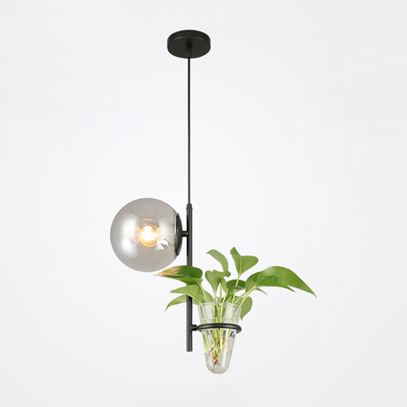 1 Light Hydroponics Botany Pendant Light moderne moderne Minimaliste en verre sphérique Salle de restauration
