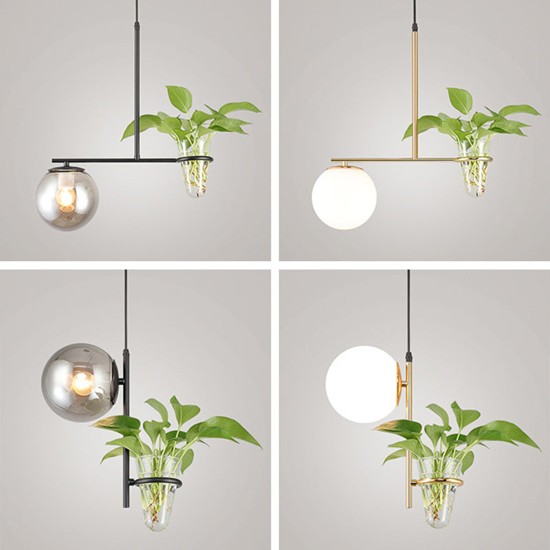 1 Light Hydroponics Botany Pendant Light moderne moderne Minimaliste en verre sphérique Salle de restauration