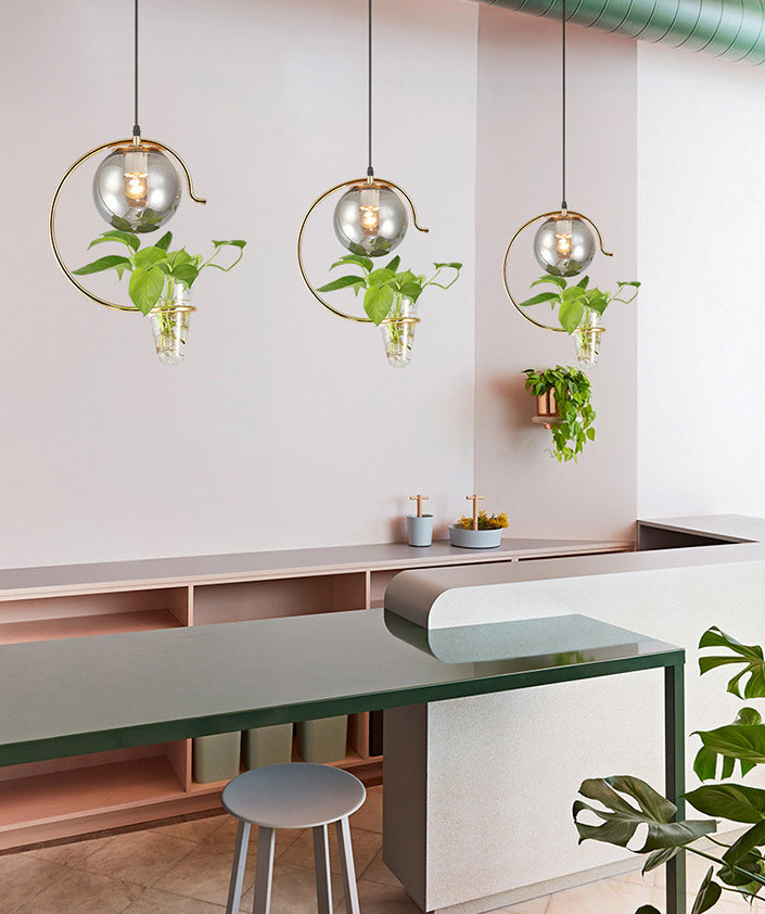 1 Light Hydroponics Botany Pendant Light moderne moderne Minimaliste en verre sphérique Salle de restauration