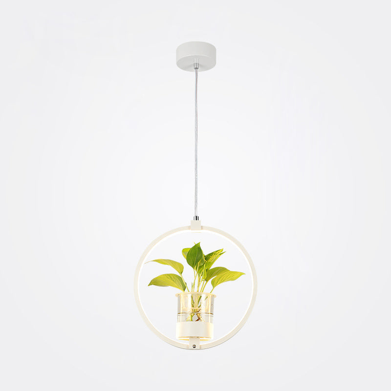 Modern Metal Hanging Lamp 1 Light Pendant Light for Dining Table  (without plants)