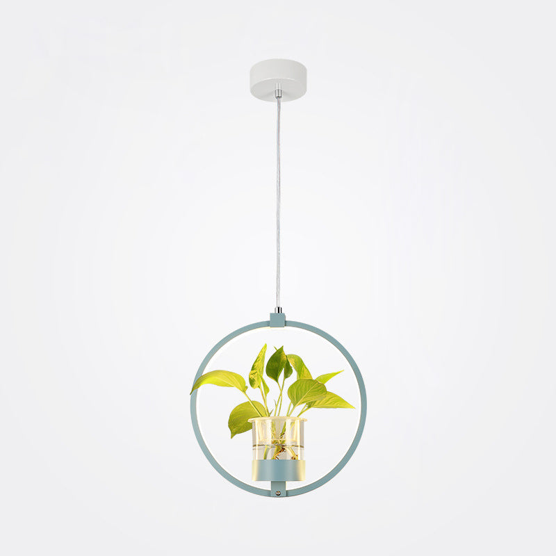 Modern Metal Hanging Lamp 1 Light Pendant Light for Dining Table  (without plants)