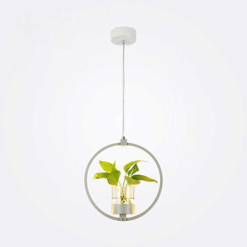 Modern Metal Hanging Lamp 1 Light Pendant Light for Dining Table  (without plants)