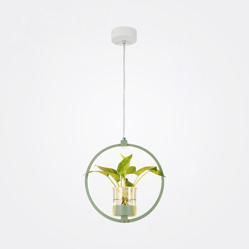 Modern Metal Hanging Lamp 1 Light Pendant Light for Dining Table  (without plants)