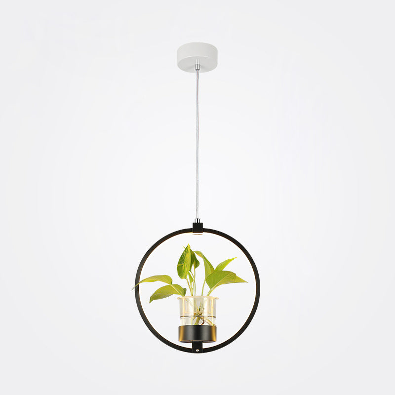 Modern Metal Hanging Lamp 1 Light Pendant Light for Dining Table  (without plants)