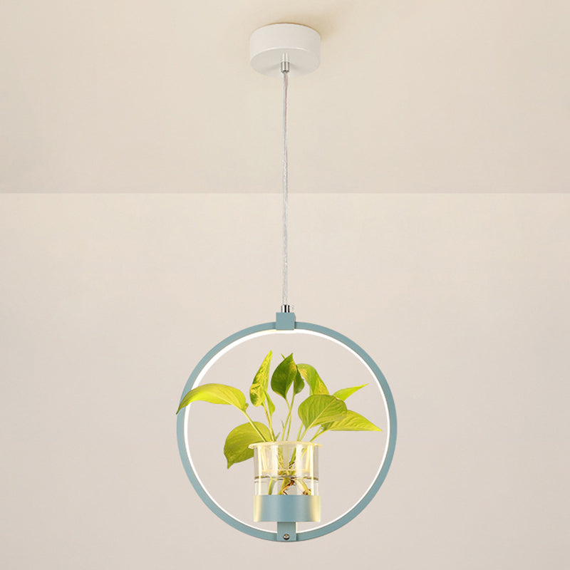Modern Metal Hanging Lamp 1 Light Pendant Light for Dining Table  (without plants)