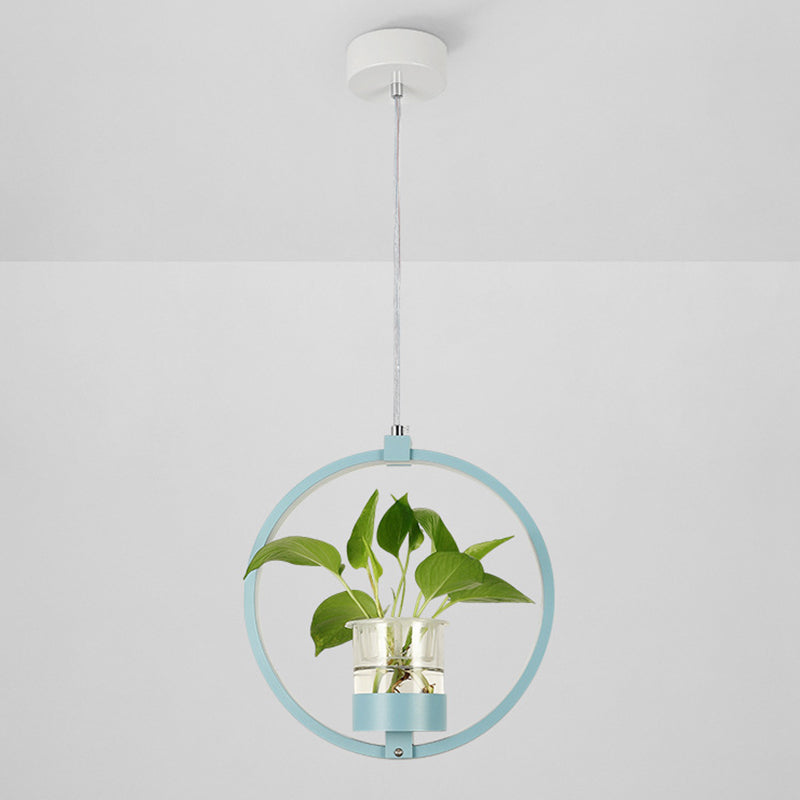 Modern Metal Hanging Lamp 1 Light Pendant Light for Dining Table  (without plants)