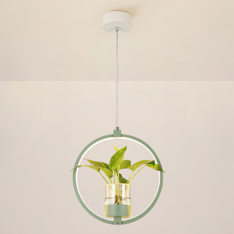 Modern Metal Hanging Lamp 1 Light Pendant Light for Dining Table  (without plants)