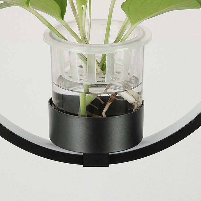 Modern Metal Hanging Lamp 1 Light Pendant Light for Dining Table  (without plants)