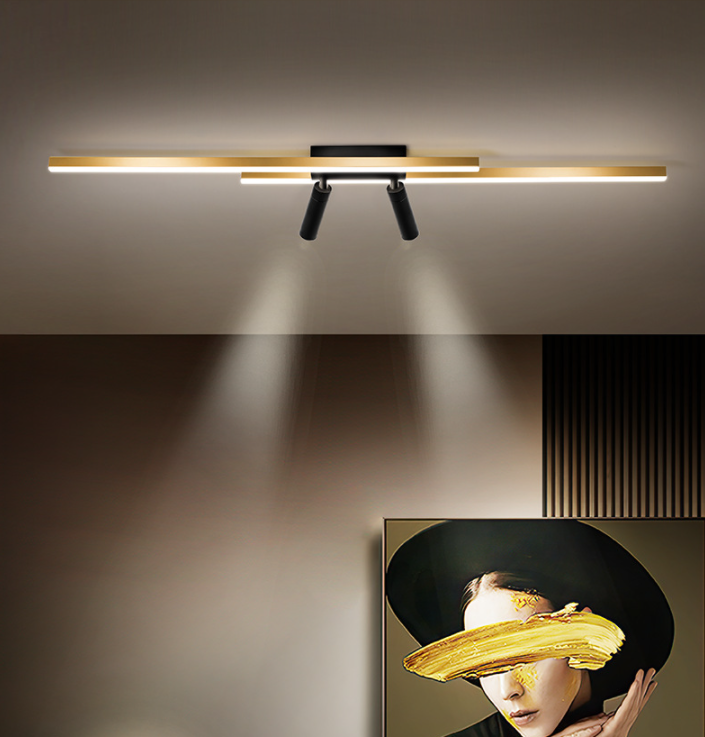Montaggio a semi-incasso a LED in alluminio dorato in stile moderno e creativo Apparecchio da soffitto a 2 luci per luoghi commerciali