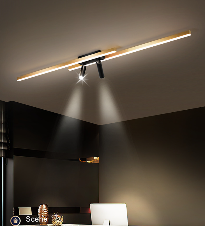 Montaggio a semi-incasso a LED in alluminio dorato in stile moderno e creativo Apparecchio da soffitto a 2 luci per luoghi commerciali