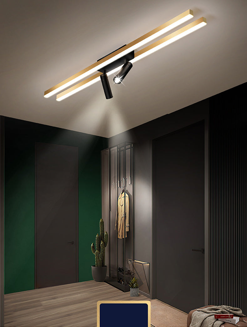 Montaggio a semi-incasso a LED in alluminio dorato in stile moderno e creativo Apparecchio da soffitto a 2 luci per luoghi commerciali