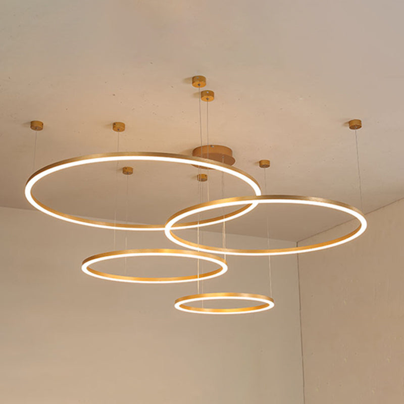 Modern Orbicular Pendant Lighting Fixtures Metal Pendant Chandelier