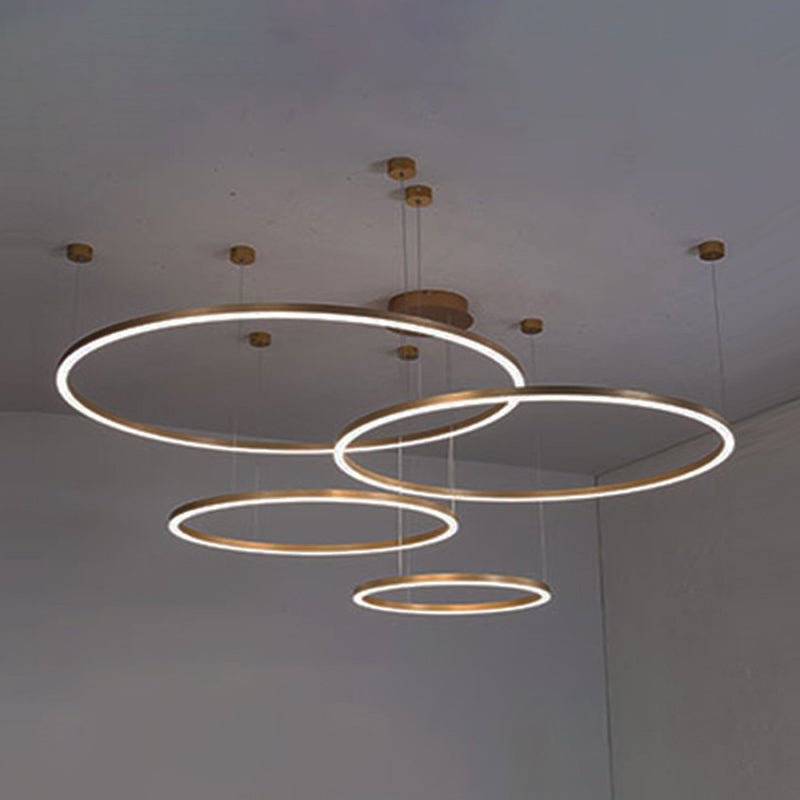 Modern Orbicular Pendant Lighting Fixtures Metal Pendant Chandelier