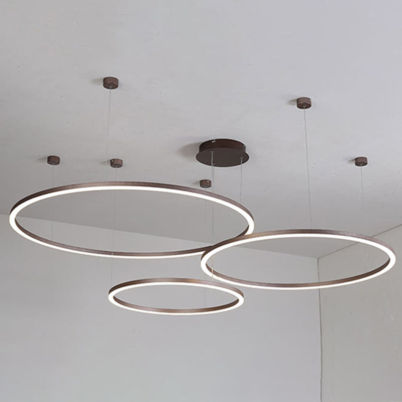 Modern Orbicular Pendant Lighting Fixtures Metal Pendant Chandelier