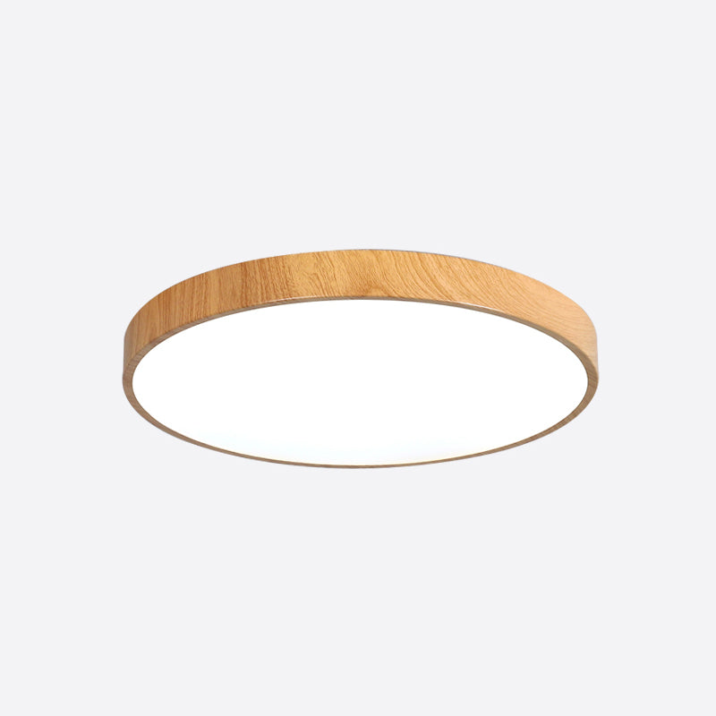Log Color Circular LED Flush Mount in Modern Concise Style Wrought Iron Ceiling Light for Living Room