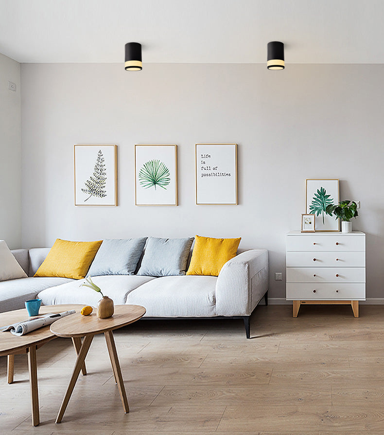 Nordic Cylinder Shaped Flush Lamp Acrylic Living Room Background LED Downlight