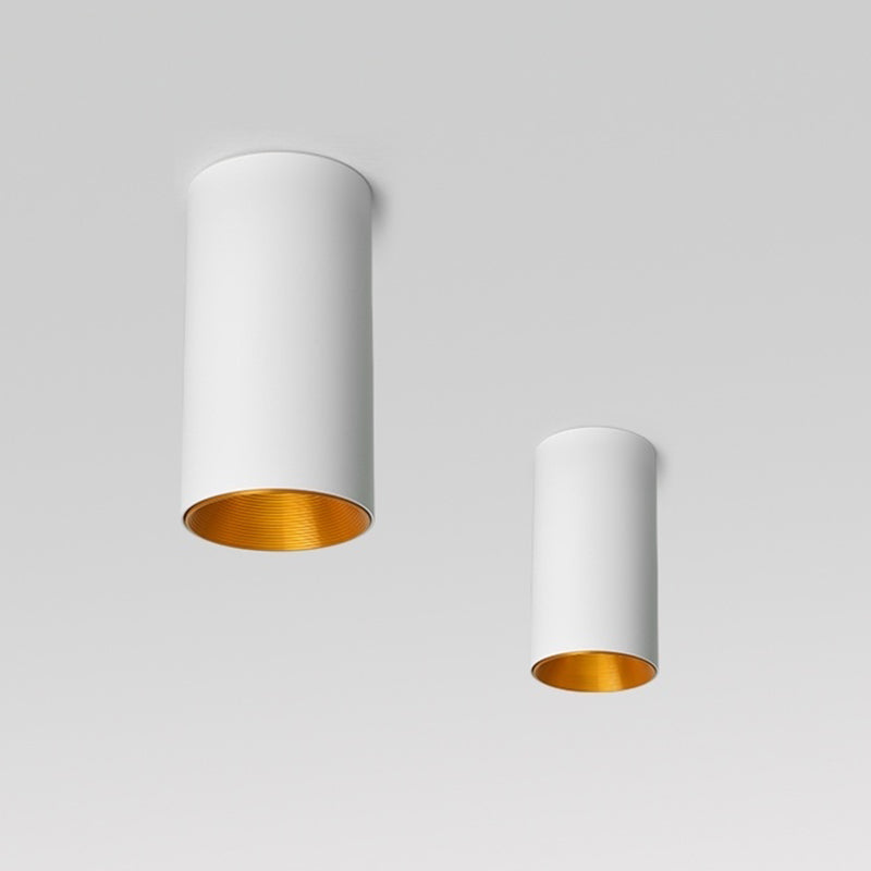 Gold Inner Tubular Ceiling Mounted Lamp Nordic LED Metal Flush Mount Light for Aisle