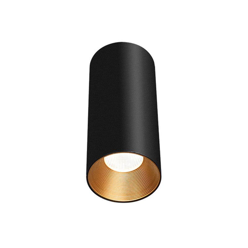 Gold Inner Tubular Ceiling Mounted Lamp Nordic LED Metal Flush Mount Light for Aisle