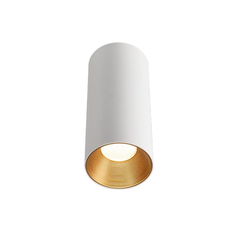Gold Inner Tubular Ceiling Mounted Lamp Nordic LED Metal Flush Mount Light for Aisle