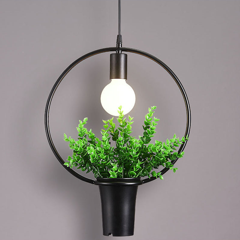Metal Geometric Line Simplicity Plant Hanging Lamp Single Bulb Clothing Shop Decorative Lighting Fixture